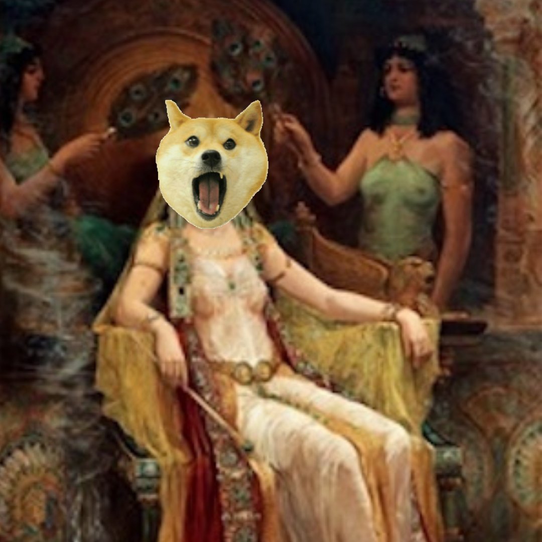 All bow before the Queen of Shiba, the #PeoplesQueen #SHIBARMY #ShibaCoin