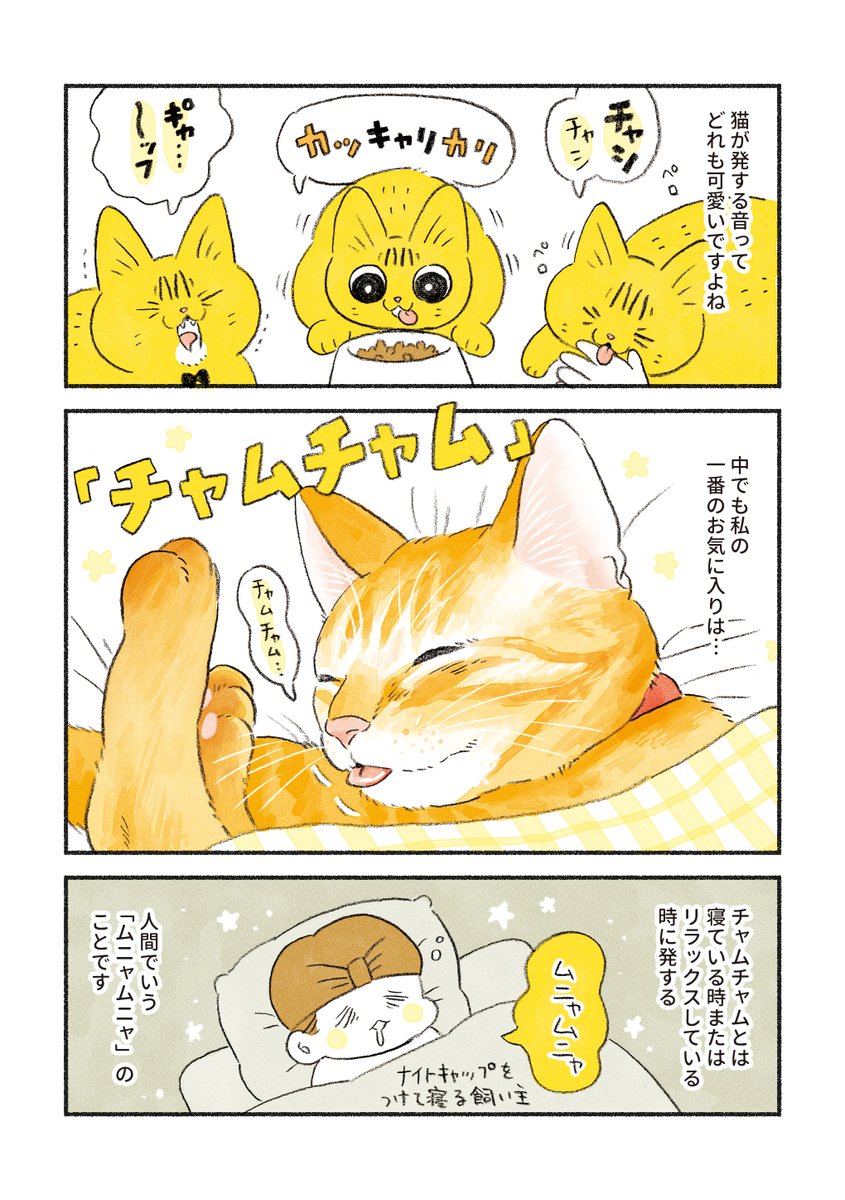 猫の「チャムチャム」が好きです 