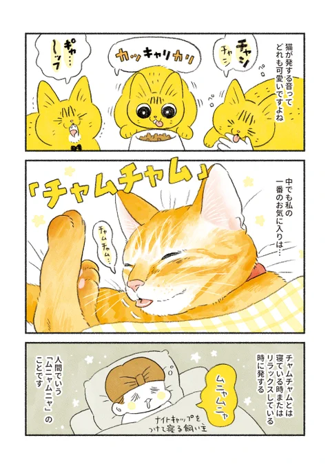 猫の「チャムチャム」が好きです 