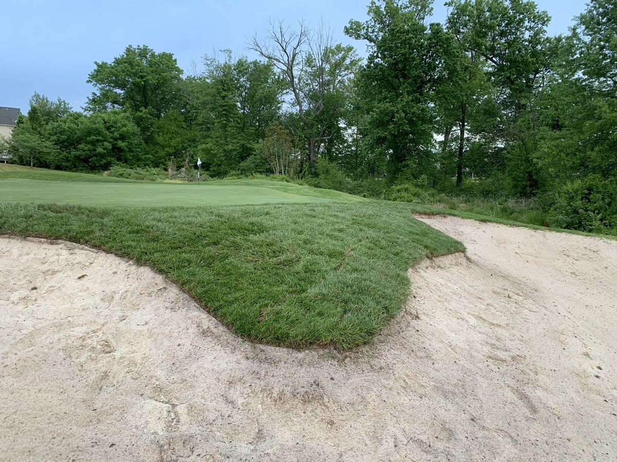 PCagronomy's tweet image. Giving our most heavily used bunker on #6 a facelift #details