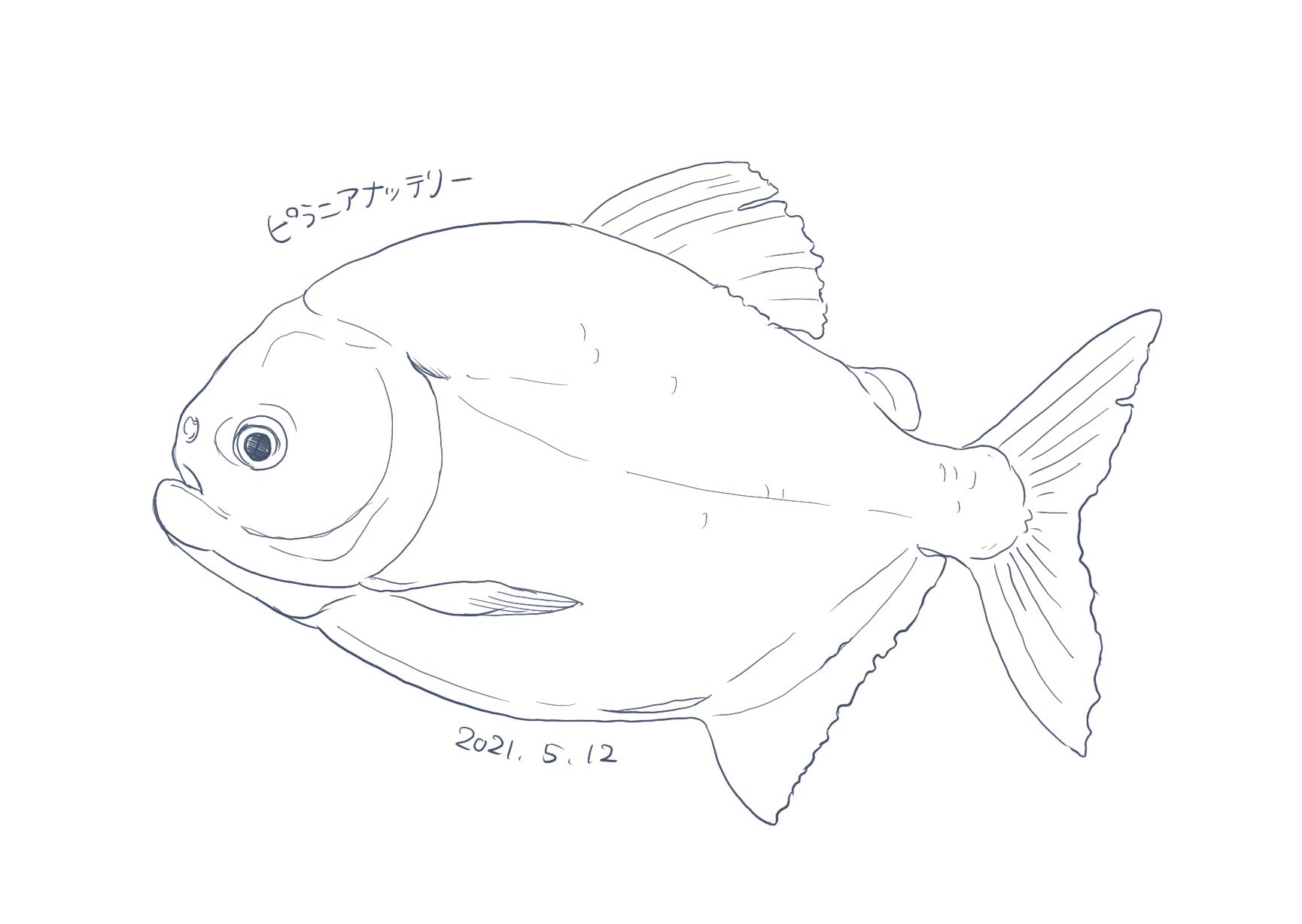 ピラニアナッテリー Twitter Search Twitter