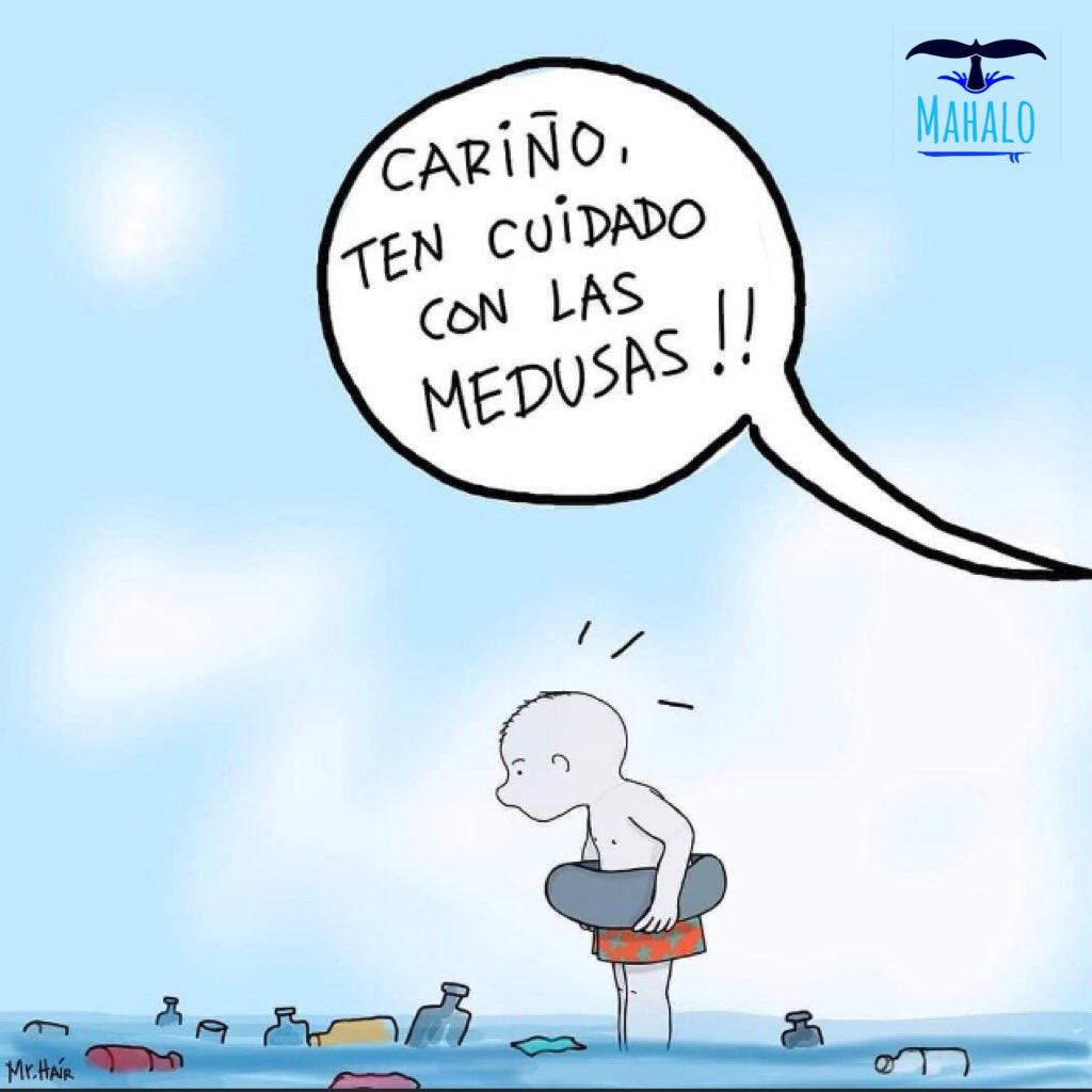 Mahalo71496954's tweet photo. ♻️🌏
Porque no es sólo un trozo de plástico. ES UN ARMA QUE MATA EN SILENCIO.
¡El reto sigue! 💪🌎
#Recicla
#Reduce
#Reutiliza
#worldsurf #mahalo #oceano #life #surf #respect #playa #oceanoslimpios #juntospodemoslograrlo #noplactic #planeta #salvamentomaritimo #mar #water https://t.co/HI0J7WQtWC