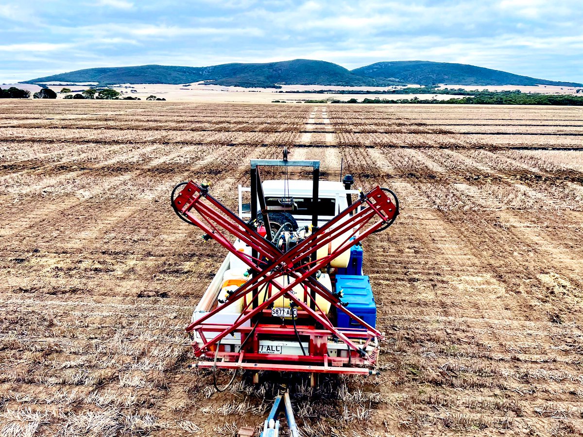 Patrick Head tweet media