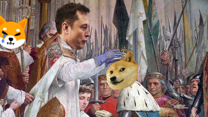 Dogecoin is the true king.