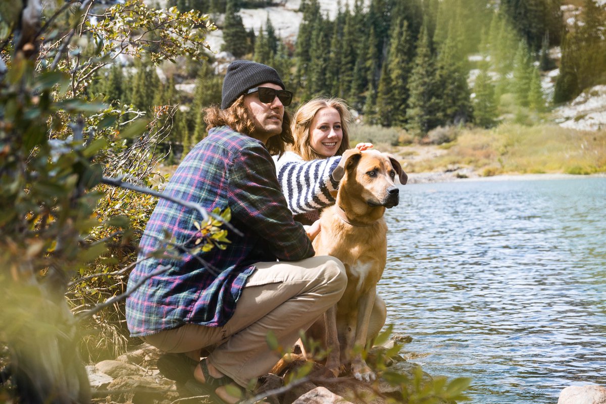 comparebyreview's tweet photo. Want to find out more about pet insurance? Not from us, but from other pet insurance owners themselves. Then join our new Pet Owner's Club with the link below to find everything from insurance to just some tips and tricks to help with your pet! #petowners 
https://t.co/XcPCpbXfWo https://t.co/RUGU0dN6HO