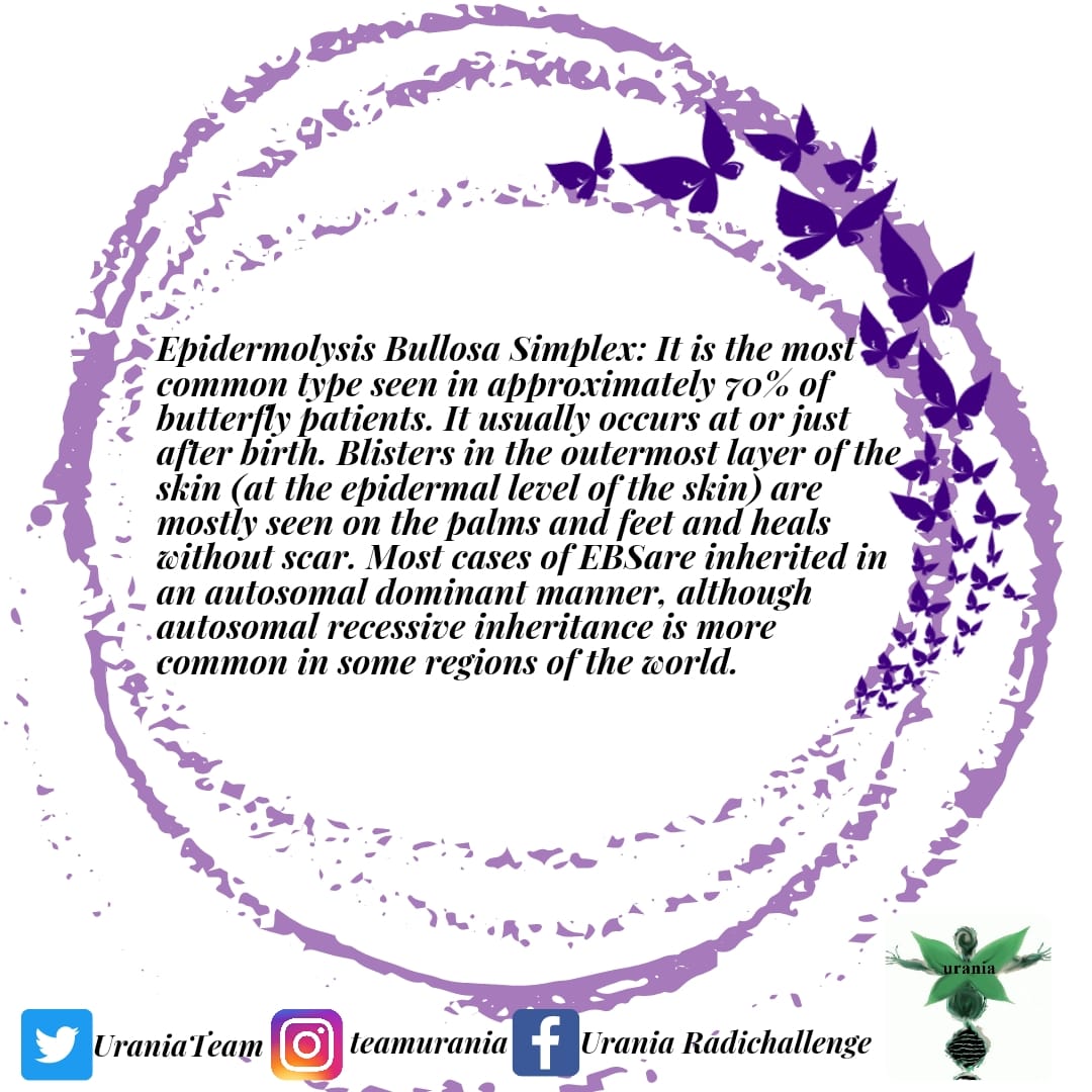 What are types of Epidermolysis Bullosa?

Butterfly disease is divided into four main groups according to the level of decomposition in the skin layers and where the blisters are formed. 

#epidermolysisbullosa #rarediseases #butterflychildren 

@RaDiChallenge @CihanTastan_PhD