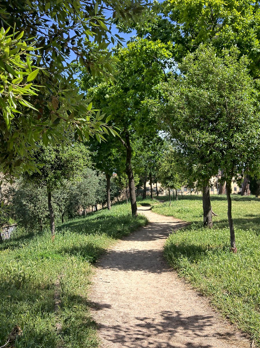 AuriCheffa79's tweet photo. Ogni tanto ci vuole una passeggiata nel verde per ricaricare le batterie 😌 #ExSnia #parcodelleenergie #Roma #Pigneto https://t.co/jfJtTEOZRZ