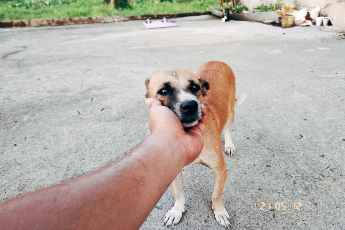 levisabarre's tweet photo. I just found this film emulation app and im really liking the results. Might start tweeting more pics to save memories 😊 #fimoapp #ek80 https://t.co/0oiJBTuwjX