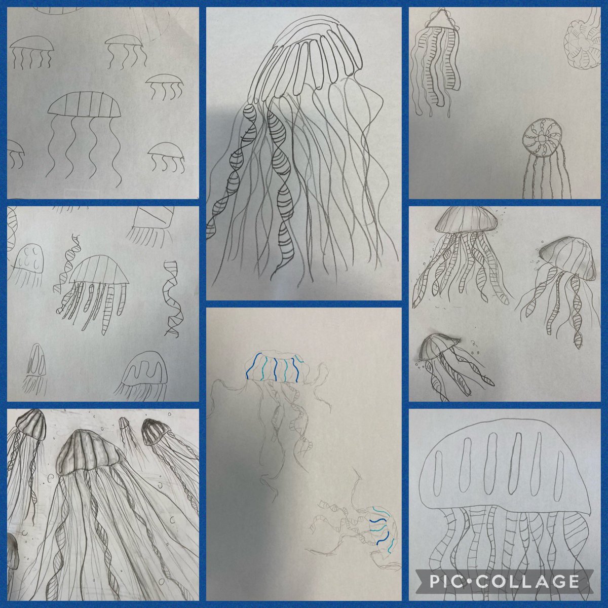 creativeclass5 tweet picture