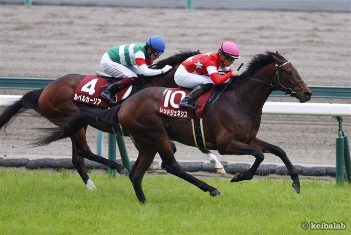 競馬ラボ A Twitter ダービー3勝目に向けて 先週の京都新聞杯を勝ったレッドジェネシスは 新たに横山典弘騎手とコンビを結成して日本 ダービー 5月30日 東京芝2400m に挑むことを 東京サラブレッドクラブが発表しました 横山典弘騎手は過去にダービー2勝