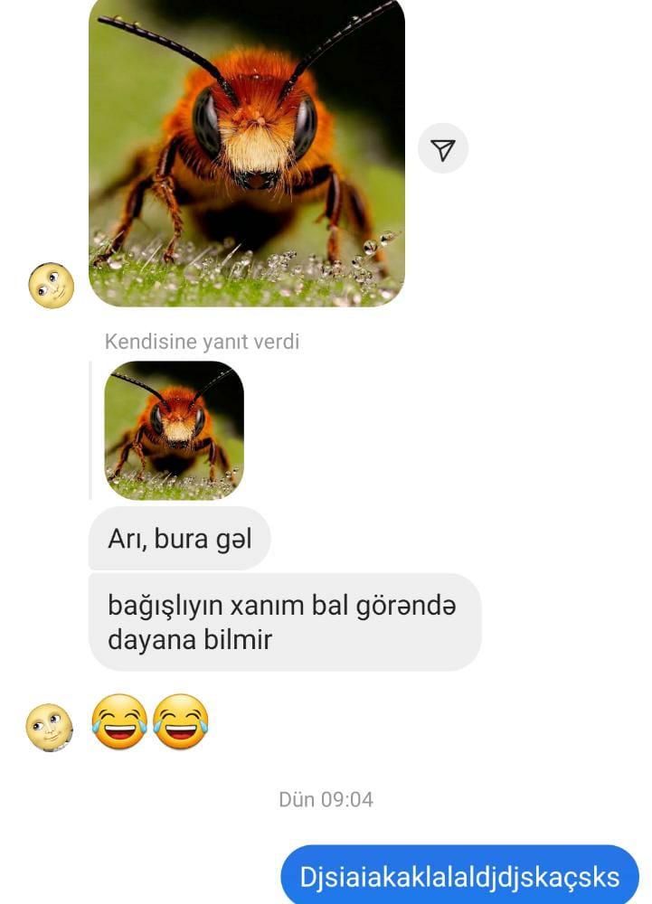 Qrup yoldaşıma yazıblar.Sabahdan yerlərdəyəm😂😂😂