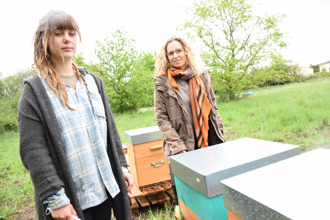 À Aubigny, des ruches installées par Isa Groupe, un outil « atypique » d'insertion
leberry.fr/aubigny-sur-ne…