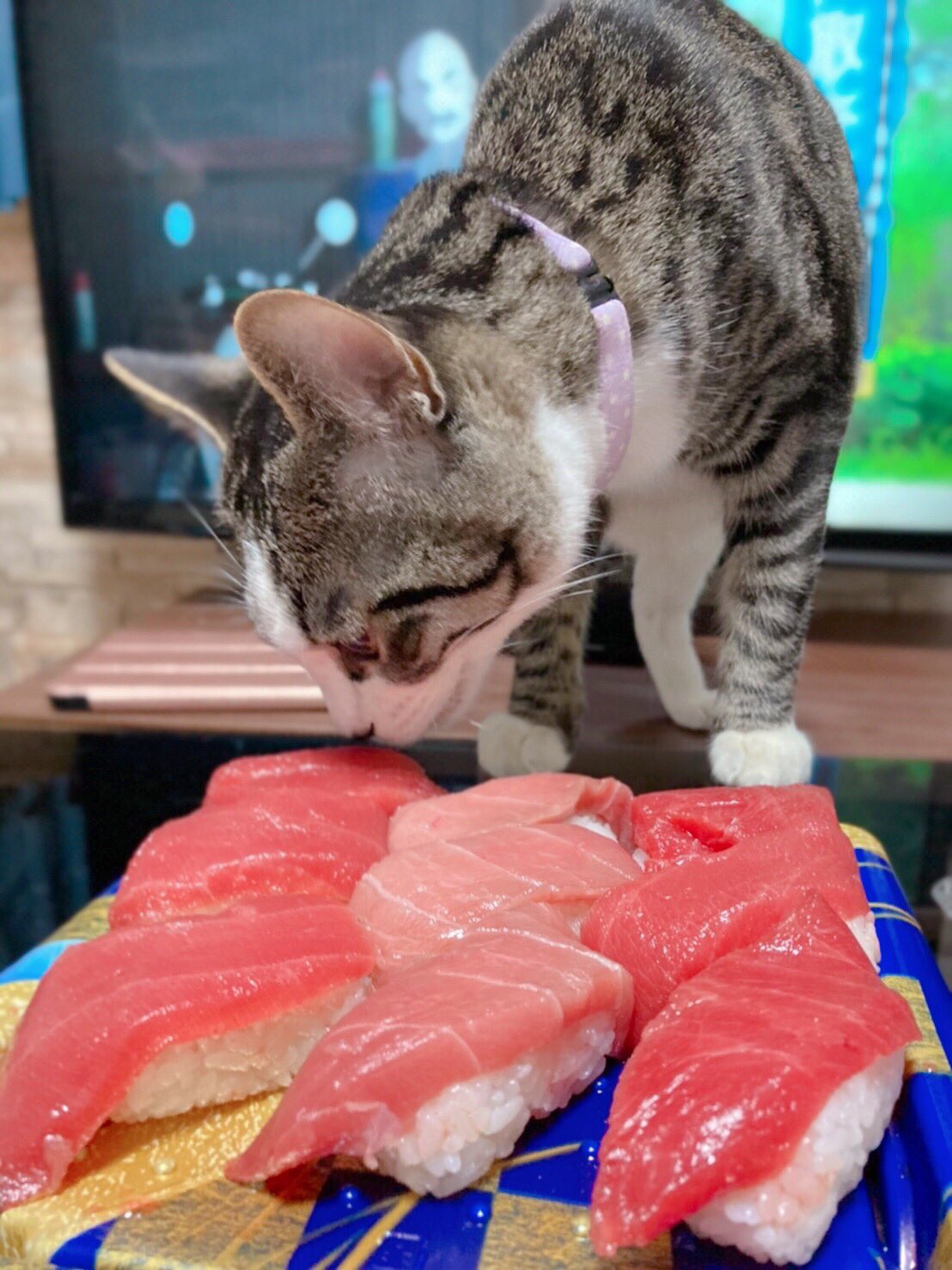 ろまちょむ マグロうまいにゃ うまいうまい 猫好きな人と繋がりたい ねこ T Co I1ve9ys9il Twitter