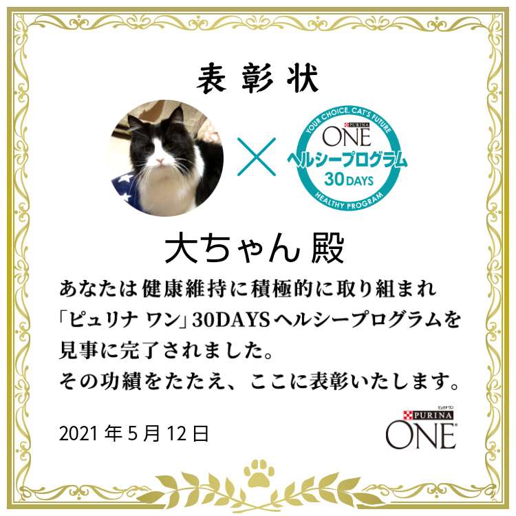 ピュリナ ワン Cat Purinaonecatjp Twitter