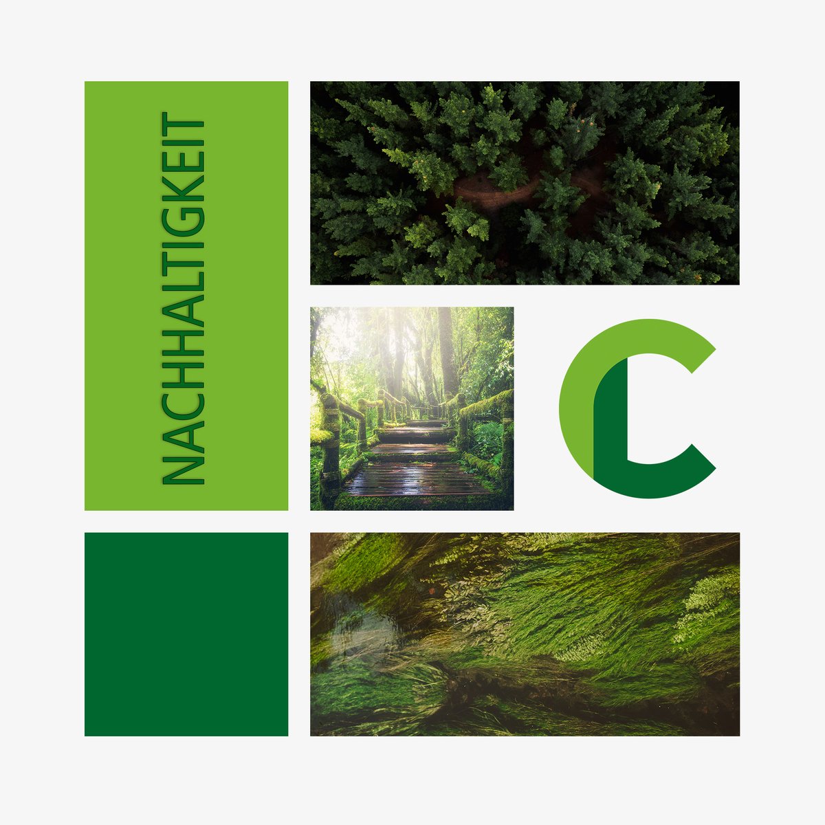 Nachhaltigkeit ist DAS Thema der Zukunft.
Wir sind dabei, ihr auch? 

#nowaste  #paperless #digital #online #insurance #versicherung #nature #future #health #community  #wechooselife #sustainable #climatechange #environment #zukunft #innovation #alldigital #nopaper