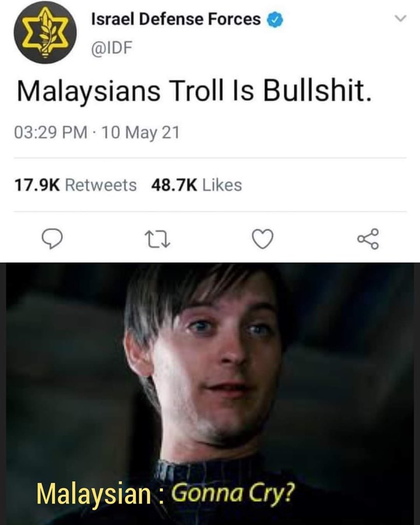 Malaysian troll is bullshit