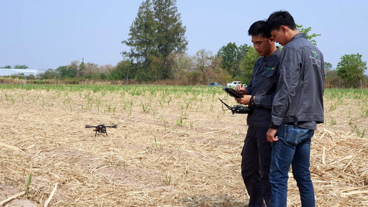 MicaSense's tweet photo. NEW Case Study! Click on the link to learn how it is possible to calculate Brix levels and yield in sugarcane using RedEdge data. Content available in English, Spanish, Portuguese, and Chinese. #IflyRedEdge #Sugarcane #precisionag #MicaSenseCaseStudy https://t.co/Yn24dhW7jm https://t.co/q1Y7XHhOQh
