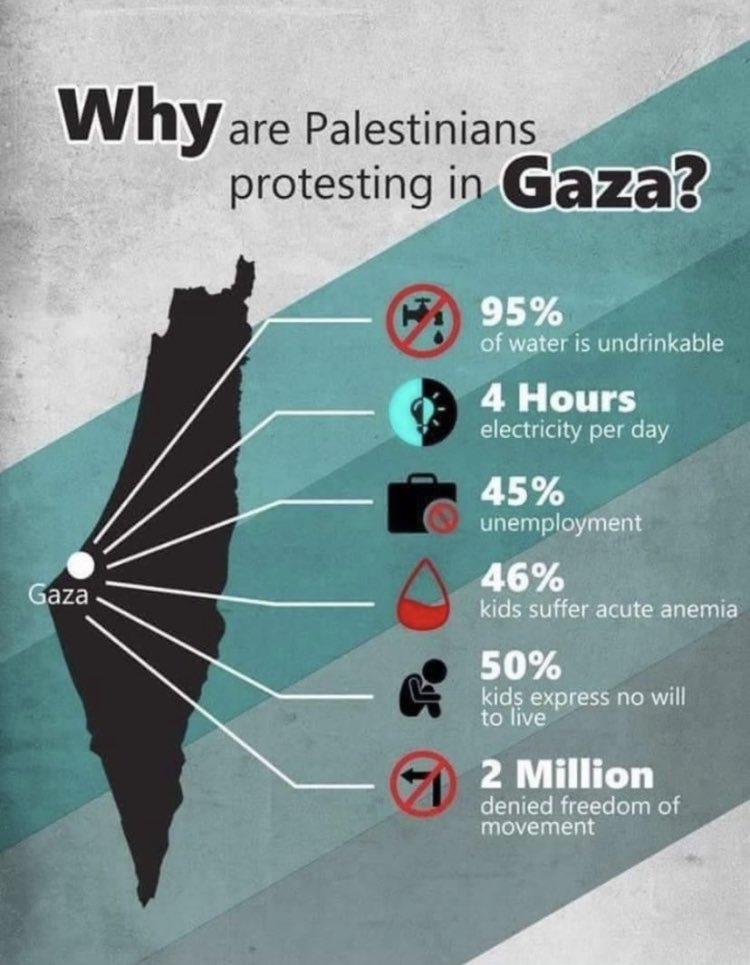 artlaimite's tweet photo. Why are #Palestinians Protesting in #gaza ? 

#freepalastine #PalestinianLivesMatter #IsraeliTerrorism #IsraelTerrorist #israelCrimss #israelisaterrorist #فلسطين_قضية_إنسانية #فلسطين_قضية_الشرفاء #فلسطين_تنتقض #غزة_تحت_القصف #غزة_الآن #GazaUnderAttack https://t.co/DnDQL0yHF5