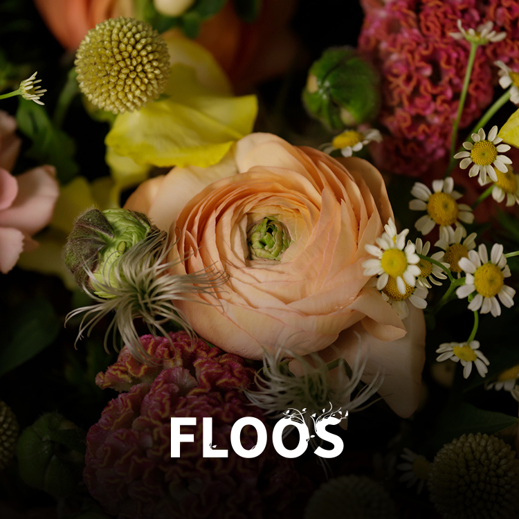 FLOOSWEB's tweet photo. The new FLOOS collection is almost here!

Follow us to know all the details of the new creations by master florist #CarlesJFontanillas

#DiY #FLOOS #TheCraftersSecret #StepByStep #MasterFlorists #Flowers #Florists #Flores #PasoAPaso #MaestrosFloristas #Floristas #FloralIdeas https://t.co/KwvO9aoUIE