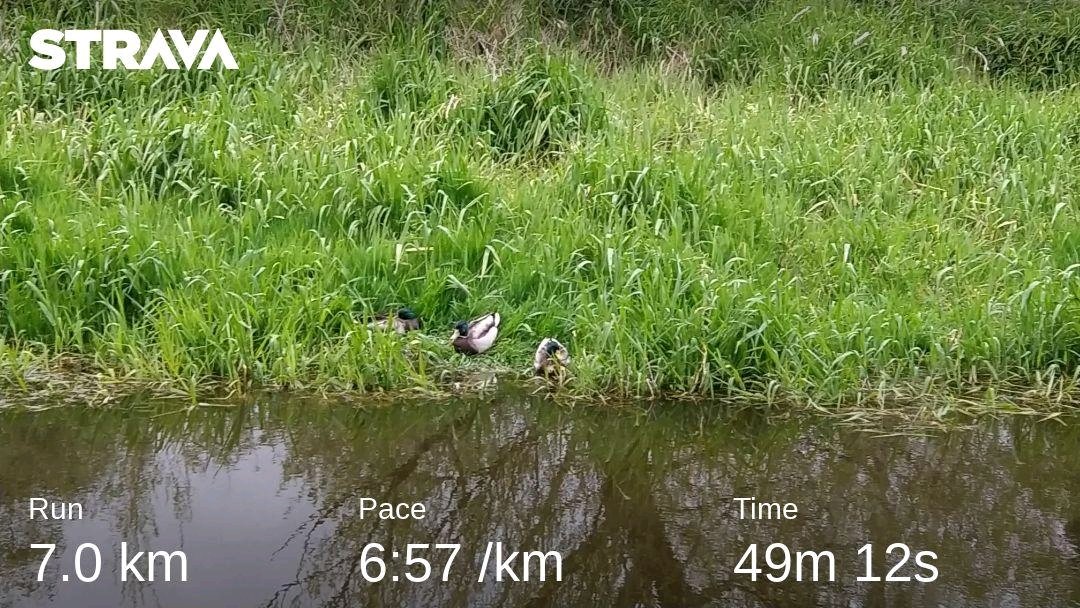 3ofsix's tweet photo. Mental health awareness week. All donations welcome 
https://t.co/qxEGOa49jQ
#milesforeoin #neuedamarathonchallenge #MentalHealthAwarenessWeek https://t.co/2LdExjyw4S
