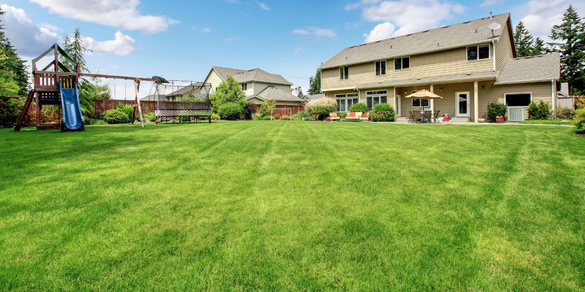 NickSepticSer's tweet photo. 3 Signs You Need a Septic System Inspection https://t.co/PMfxZlzQ9E https://t.co/KHzSMH5tTT