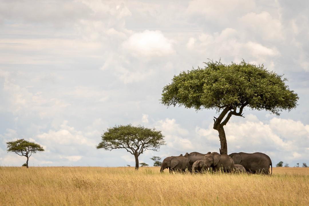 andbeyondtravel tweet picture