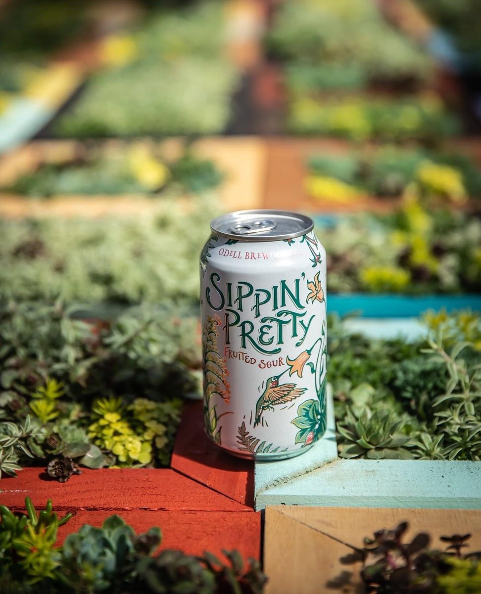 Açaí, Guava, & Elderberry... More of a mantra than a beer, Odell’s Sippin’ Pretty is their fruited sour ale and highlighting this go-to for craft beer week. Sit back, relax and sip on something pretty! #craftbeerweek2021 #sippinpretty #odellbrewing