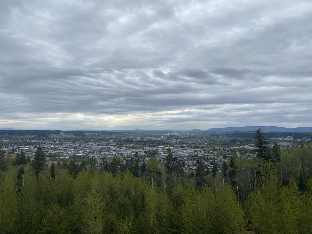 RudSidney's tweet photo. Day 10: points of connection. Taking time to notice all the points of connection we have with each other. The smile , or a quick hello with people you pass along the way and the hum of traffic as everyone gets to where they need to be. #UNBCED #WalkingCurriculum #EDUC490 https://t.co/g4hbMV6J6D