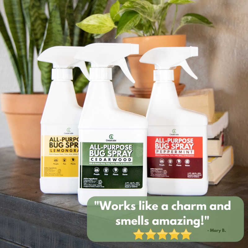 realcedarcide's tweet photo. @day6namsayin Hey there! Try some of this next time and it should keep the mosquitoes at bay! Give us a call of any questions! 1-800-842-1464 https://t.co/JA2caTDZYY