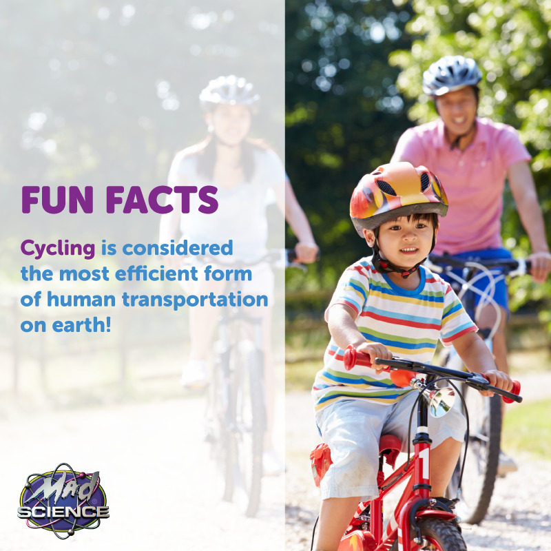MadScienceDFW's tweet image. Biking is great for sight-seeing, fresh air and exercise. It is also incredibly energy efficient!