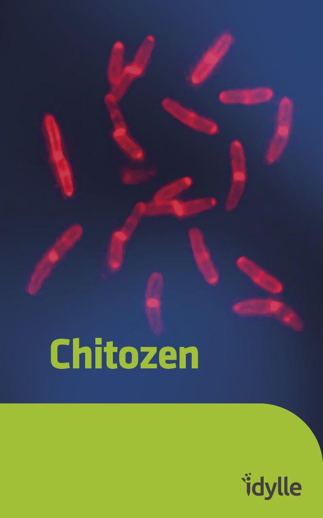 esther_graudens's tweet photo. Each research tool we're producing deserves a beautiful cover image 🌈🌟 We work with an art director because we expect you like that special moment when you open an Idylle box 🎁🤲🌈

Disclosing today the work done for #Chitozen 
Pretty proud of it 😍
👉https://t.co/tSmjfA1VF2 https://t.co/ME3eg9yZca