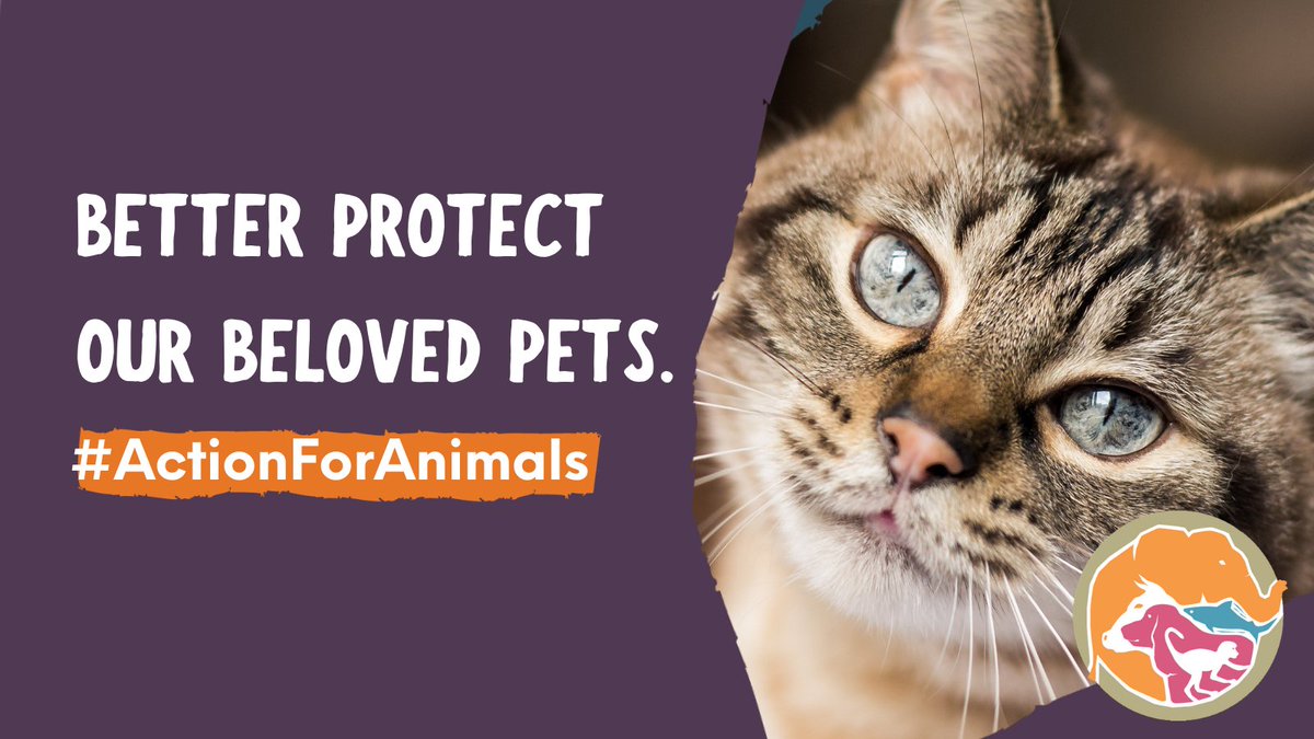 Cats Protection is delighted that @DefraGovUK are taking action ensure better lives for our pets with the new #ActionForAnimals plan that includes proposals to make cat microchipping compulsory, tackle pet theft & review the use of snares, which can cause cats immense suffering.