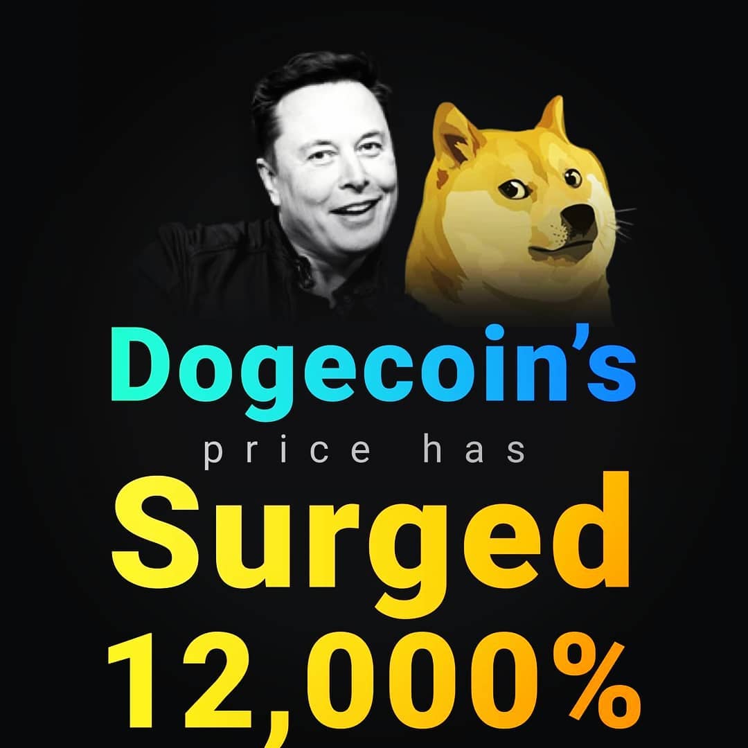 digitalzahi's tweet photo. #cryptocurrencies #CryptoNews #DogecoinToTheMoon #dogearmy #DogecoinRise #bitcoins https://t.co/UwDKOqh1XD