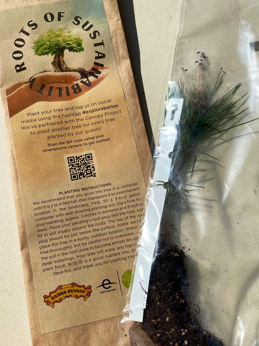 wendybeighey's tweet photo. Planted my free tree from @LodgeatGenevaOH
ππ²
#thankyou
#explorebetter https://t.co/AUTBO322F3