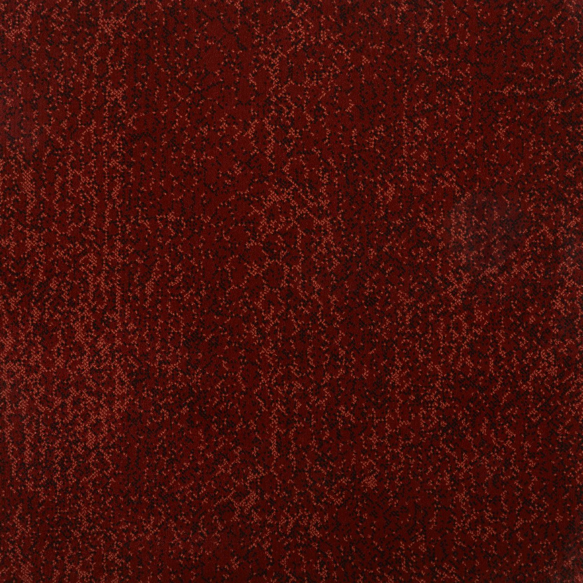 Fells Carpets tweet media