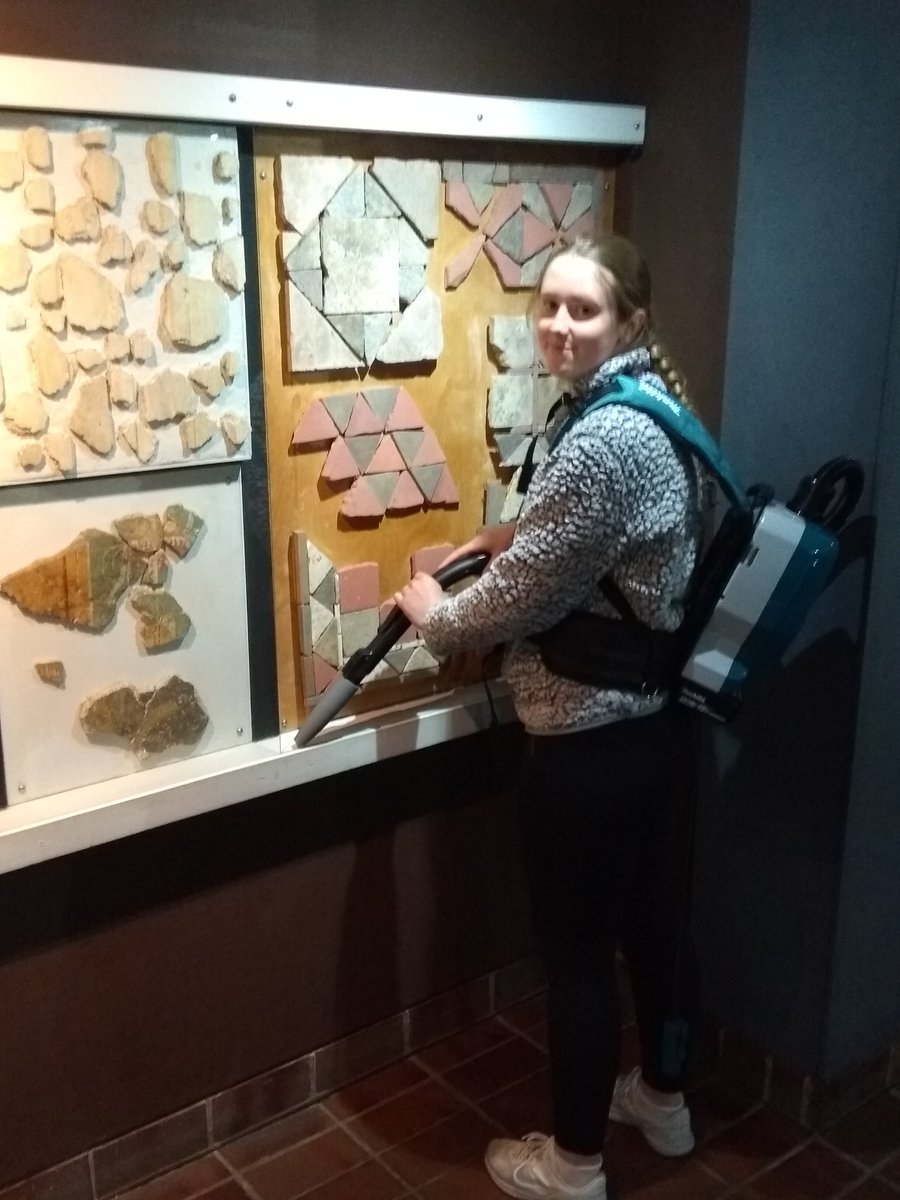 romanpalace's tweet photo. We've let #InternBecky loose in the museum, cleaning inside some of the cabinets, and it turns out she's a cleaning machine!! https://t.co/mJkXS23lhy