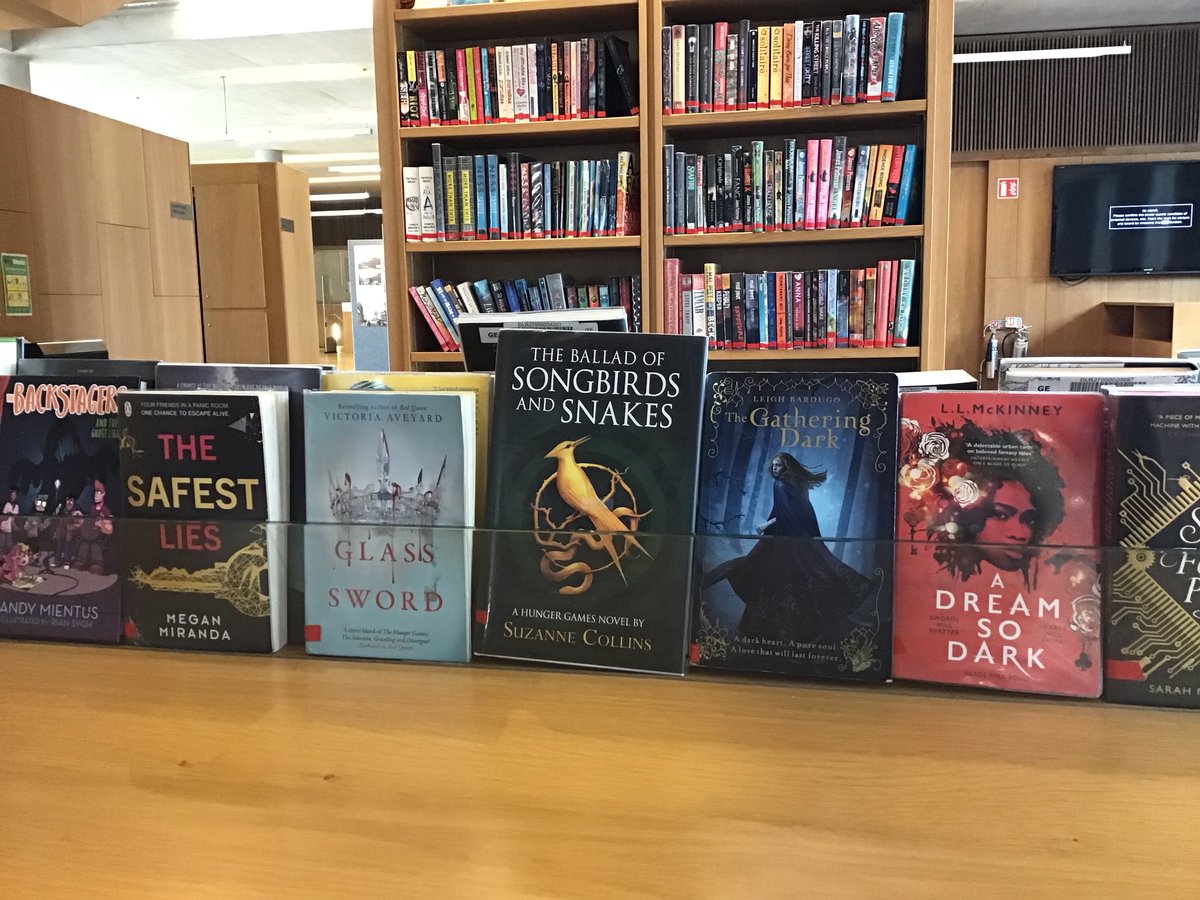 Mountains to Sea dlr Book Festival tweet media