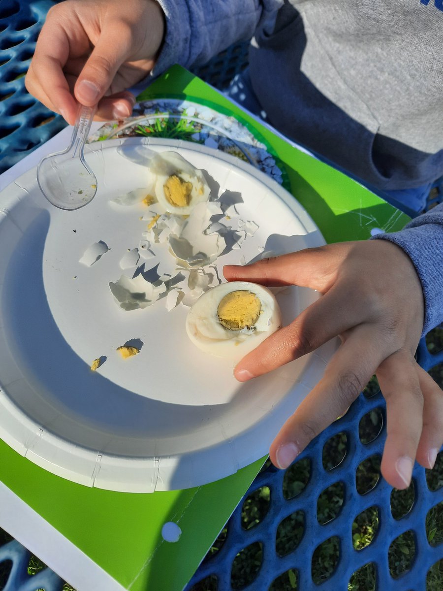 5th Grade completing the Layers of the Earth Lab using hard boiled eggs.  <a href="/MattHowell_11/">Matt Howell</a> <a href="/laurmalaney/">𝕃𝕒𝕦𝕣𝕖𝕟 𝕄𝕒𝕝𝕒𝕟𝕖𝕪</a>