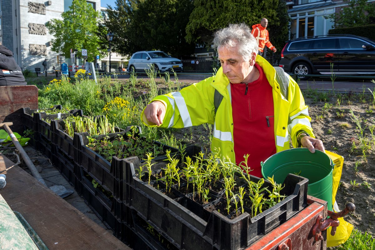 Gemeente Utrecht tweet media