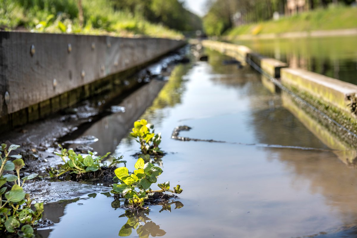 Gemeente Utrecht tweet media