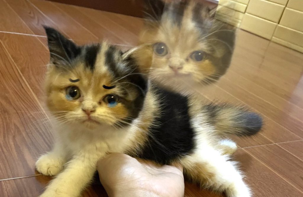 ที่สุดแห่งมีมบ๊วย เซฟซ้ำไป10รอบ