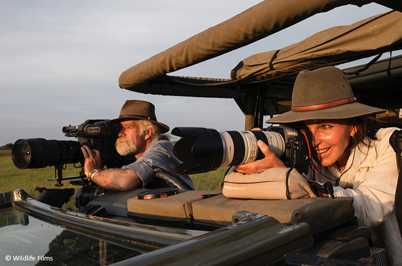 🎬 J-3 avant la clôture du concours des films professionnels
🎥 D-3 before the closing of the professional films competition
🎞 D-3 vóór de sluiting van de wedstrijd profesionnele films
👉 festivalnaturenamur.be