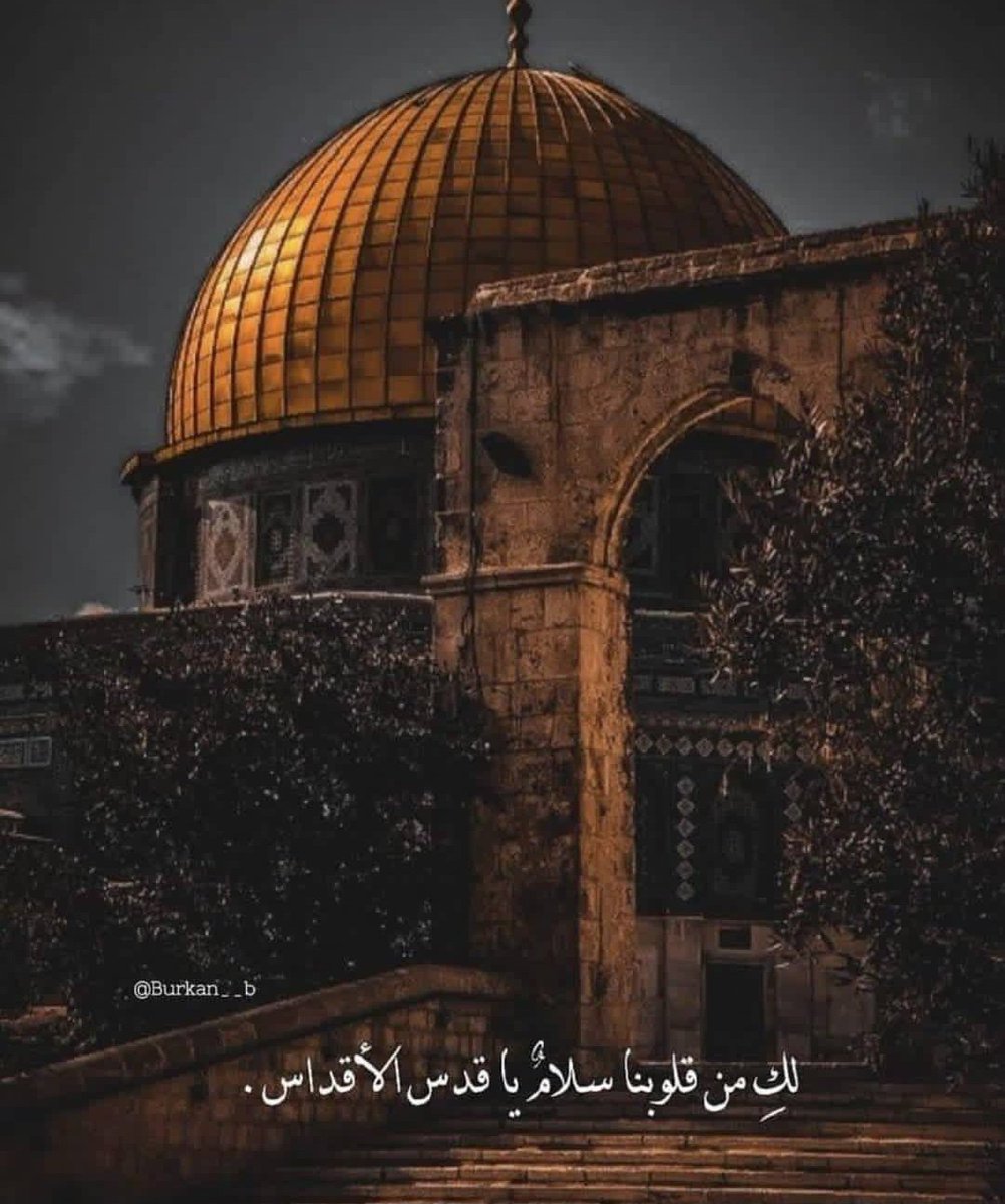 Brahim_Meridian's tweet photo. 🇩🇿❤🌹💔⚔️ https://t.co/nhK8jzOW8G