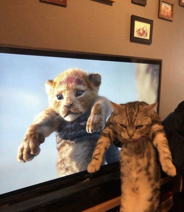 えええ 実写版スヌーピーやん