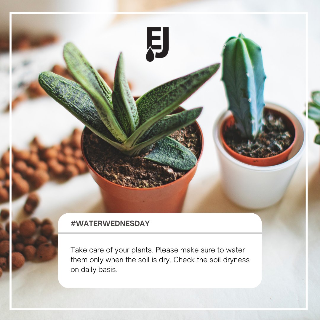 Did you know it is better for your plants to be a bit too dry than too wet? Check on your plants daily.  #waterwednesday

For more plant watering tips read the article below!
bit.ly/33xIvhA
