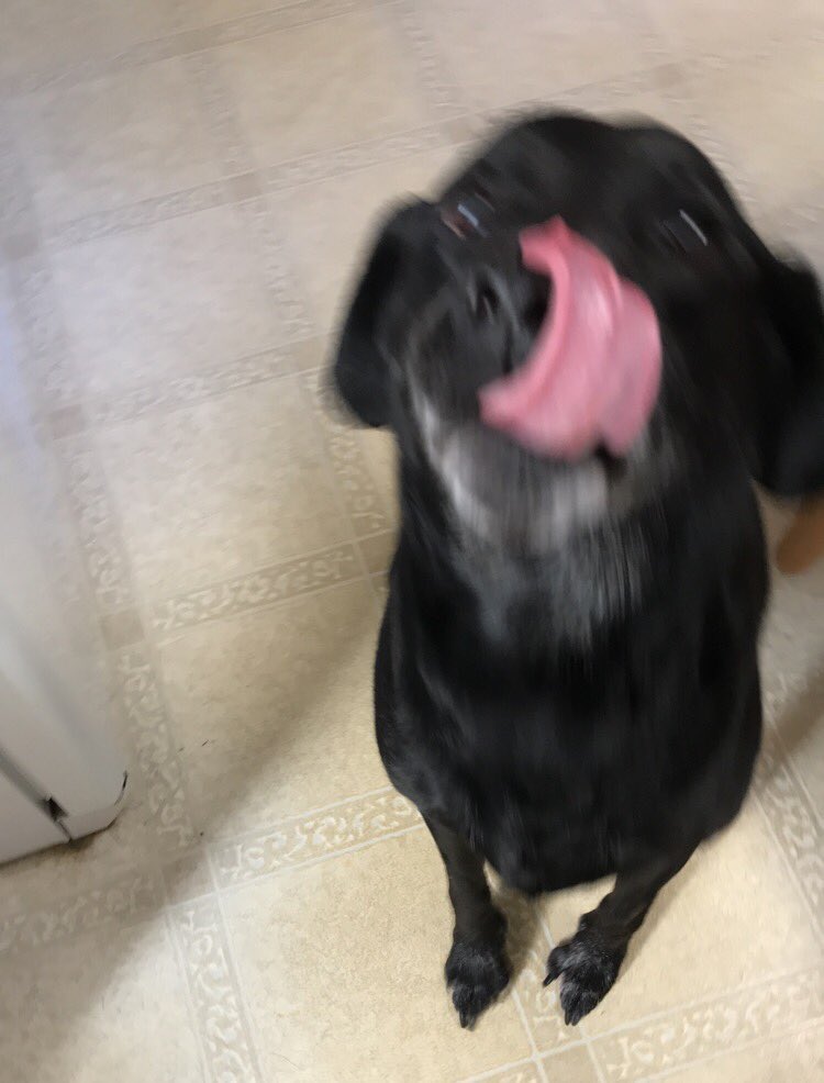 youngape tweet media