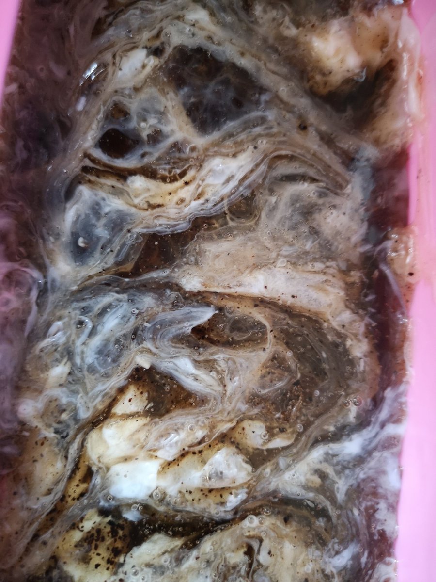 J.Charles.M 🏞️🏜️ tweet media