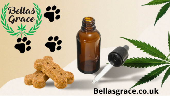 CBDSpecialists's tweet photo. 🌟**Coming Soon**🌟
Our pets health is as important as our own.
We have a fantastic new addition coming to the Bella's Grace product range, specially dedicated to our furry friends 🐕‍🦺🐈
Watch this space👀
https://t.co/w2X9DcpgrK
#cbdforpets #cbdpet  #pethealth #Bellasgrace https://t.co/i7mTaAQFKr