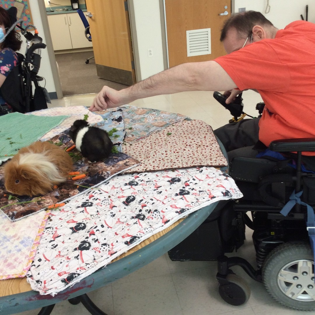 INGLISdotorg's tweet photo. Pet Therapy is back in action! Furry friends from Paw of the Spirit came to visit Inglis House.

Pet therapy is a low-stimulation form of therapy with many benefits including stress reduction, happiness, increased self-esteem, and increased mental activity.

#WellnessWednesday https://t.co/TuDRnbyd5e