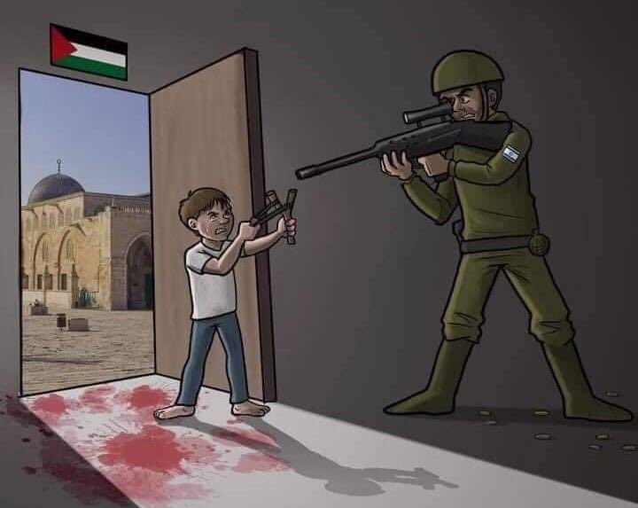 mohamedelkoush7's tweet photo. #GazaUnderAttack raise your voice ,talk about it and share posts... do your best, do what you're capable to do to make the world notice this! What's happening in Palestine is unfair, they're killing innocent people who just want their land, their homes back; because its theirs. https://t.co/uxast5SBKw